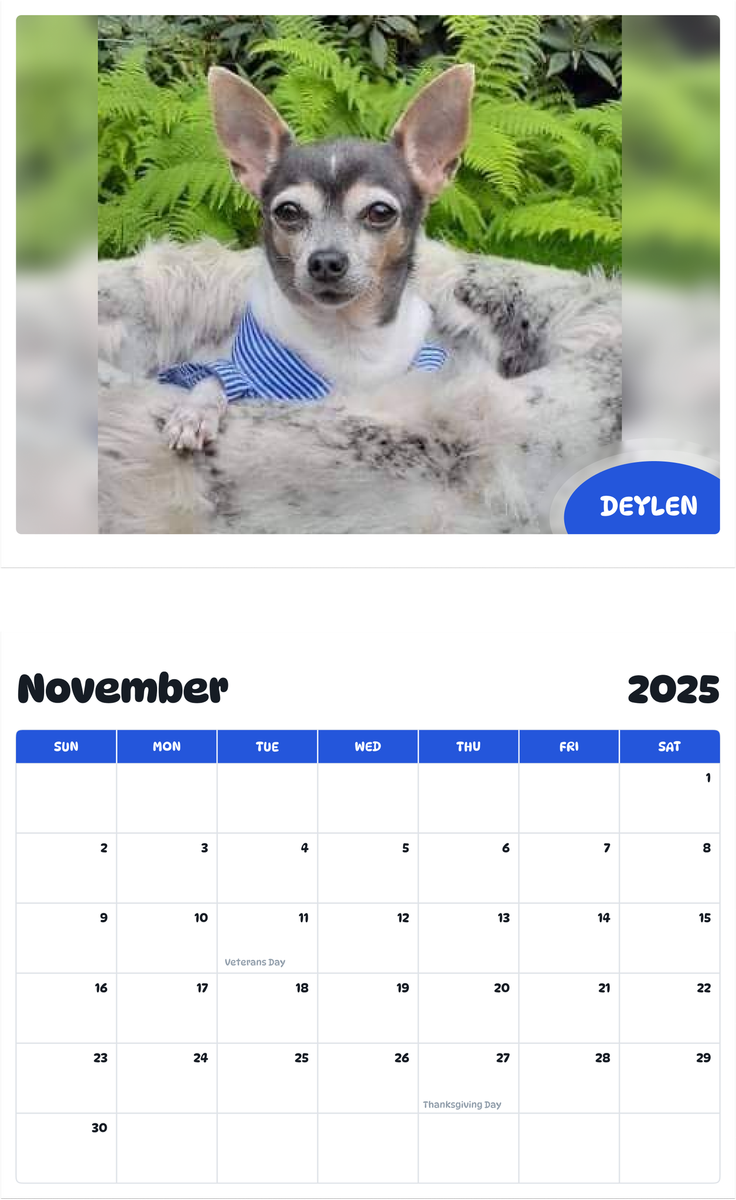 July 2025 - June 2026 Deylen - Pawidols Pet Calendar