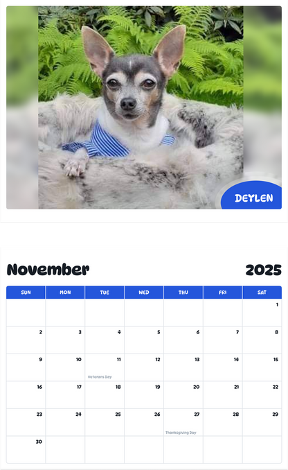 July 2025 - June 2026 Deylen - Pawidols Pet Calendar