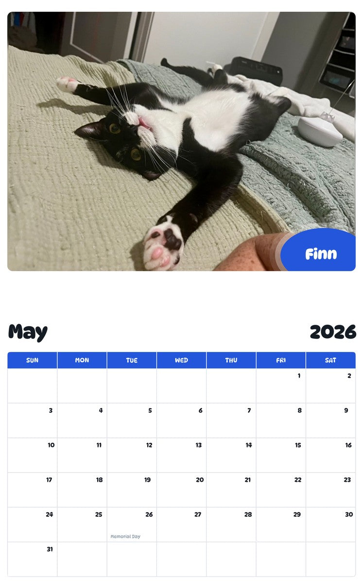 2026 - 2027 Finn - Pawidols Pet Calendar