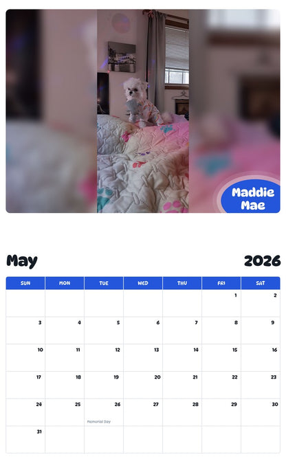 2026 - 2027 Maddie Mae - Pawidols Pet Calendar