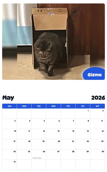 2026 - 2027 Gizmo - Pawidols Pet Calendar