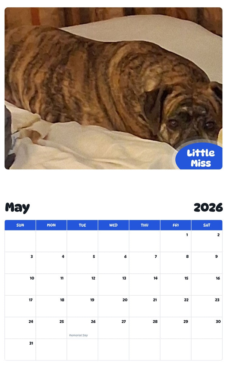2026 - 2027 Little Miss - Pawidols Pet Calendar
