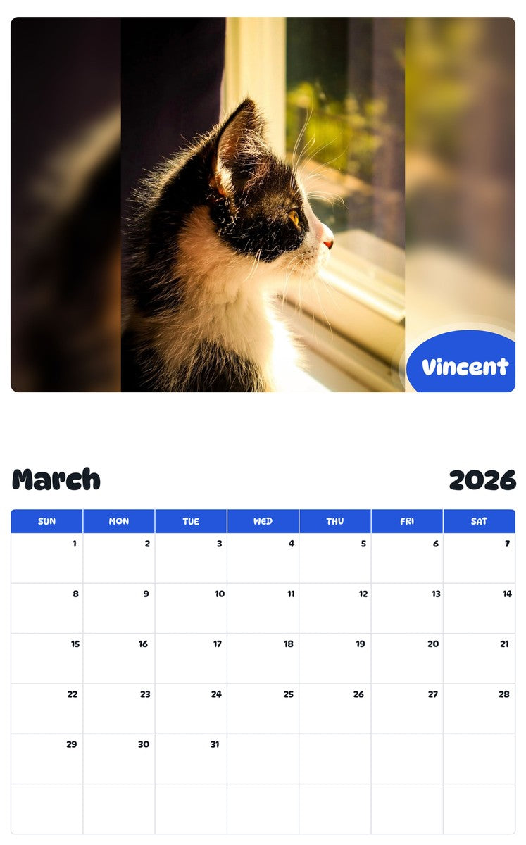 November 2025 - October 2026 Vincent - Pawidols Pet Calendar