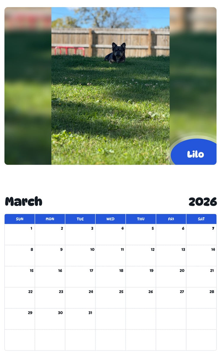 November 2025 - October 2026 Lilo - Pawidols Pet Calendar
