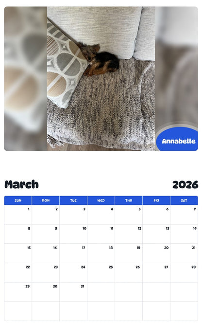 November 2025 - October 2026 Annabelle - Pawidols Pet Calendar