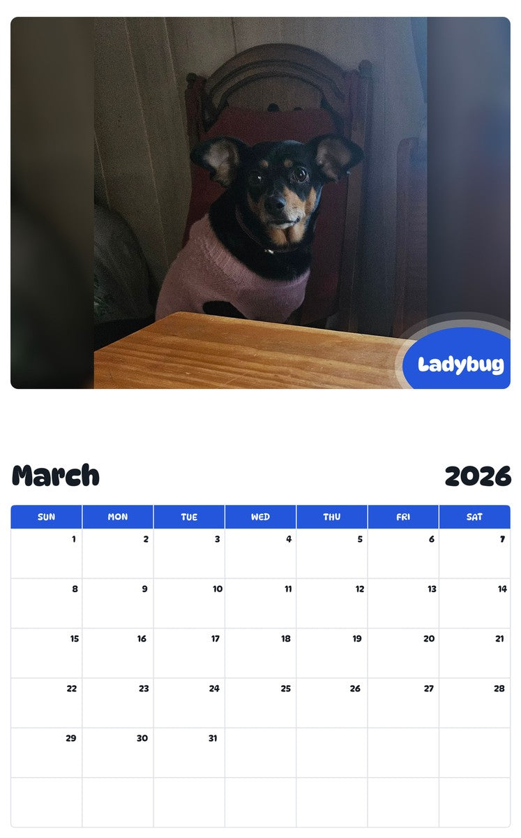 November 2025 - October 2026 Ladybug - Pawidols Pet Calendar