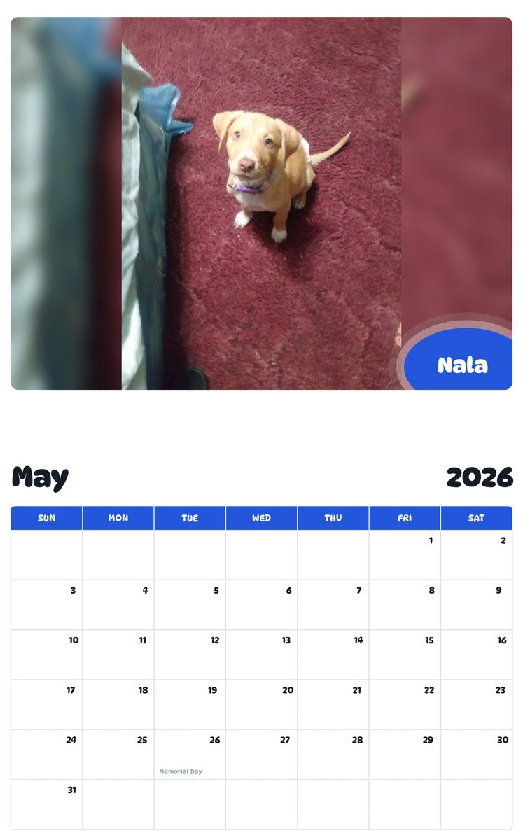 2026 - 2027 Nala - Pawidols Pet Calendar