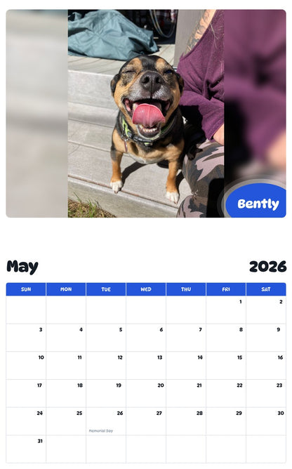 2026 - 2027 Bently - Pawidols Pet Calendar