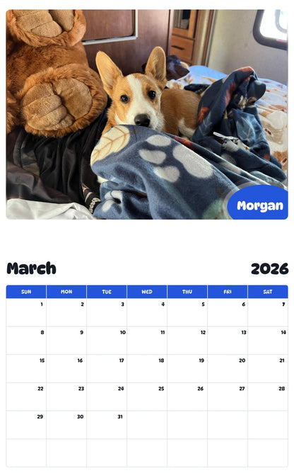 November 2025 - October 2026 Morgan - Pawidols Pet Calendar