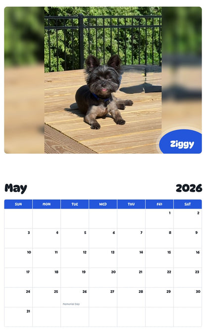 2026 - 2027 Ziggy - Pawidols Pet Calendar
