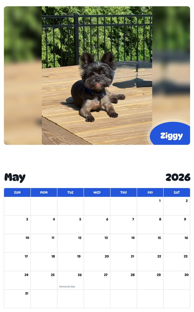 2026 - 2027 Ziggy - Pawidols Pet Calendar