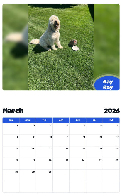November 2025 - October 2026 Ray Ray - Pawidols Pet Calendar