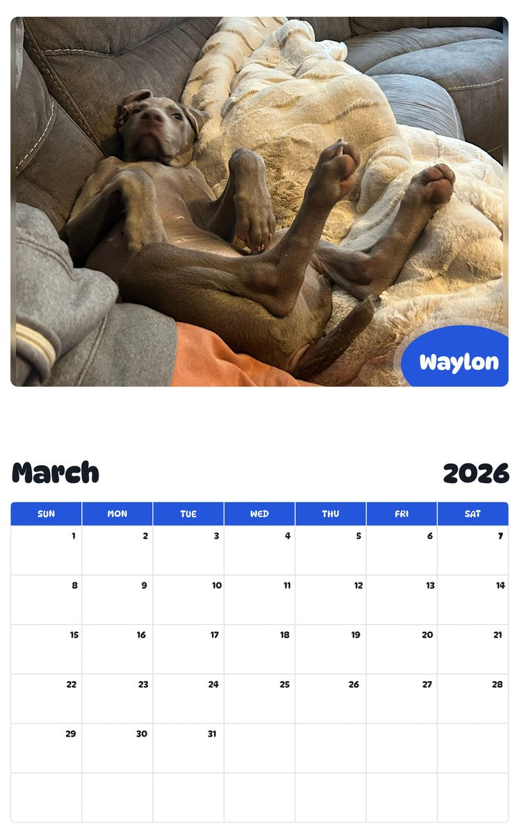 November 2025 - October 2026 Waylon - Pawidols Pet Calendar
