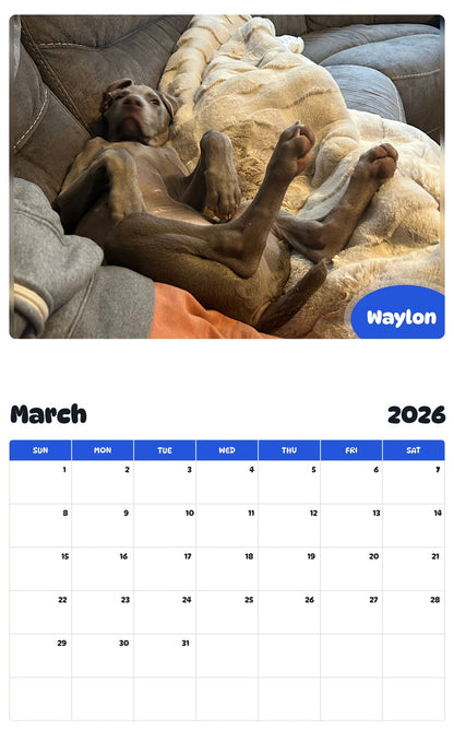 November 2025 - October 2026 Waylon - Pawidols Pet Calendar