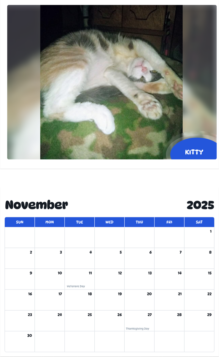 July 2025 - June 2026 Kitty - Pawidols Pet Calendar