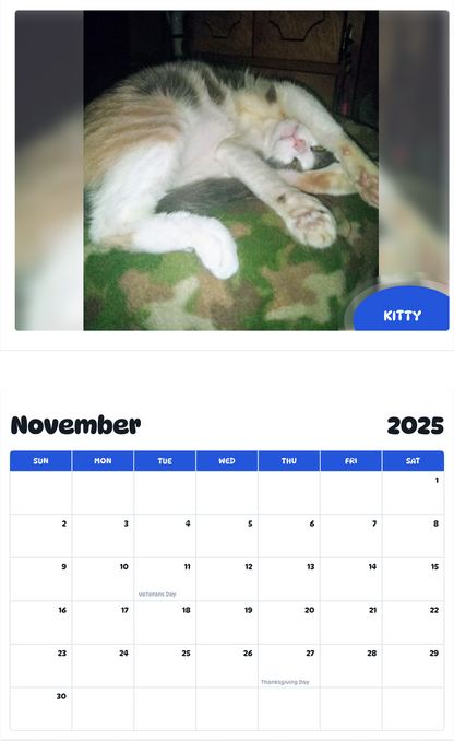 July 2025 - June 2026 Kitty - Pawidols Pet Calendar