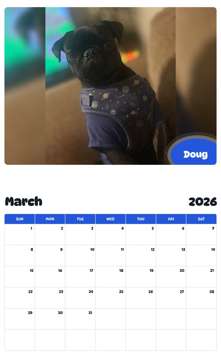 November 2025 - October 2026 Doug - Pawidols Pet Calendar