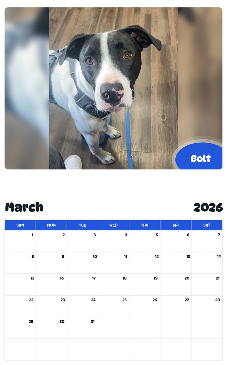 November 2025 - October 2026 Bolt - Pawidols Pet Calendar