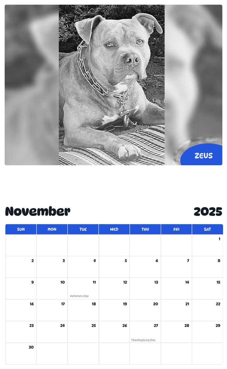July 2025 - June 2026 Zeus - Pawidols Pet Calendar