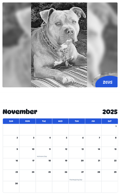 July 2025 - June 2026 Zeus - Pawidols Pet Calendar