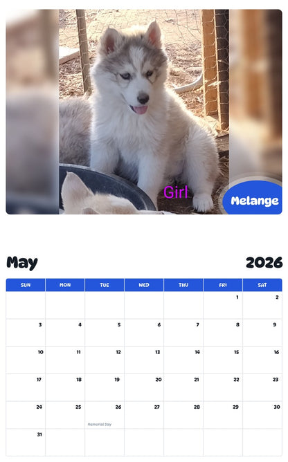 2026 - 2027 Melange - Pawidols Pet Calendar