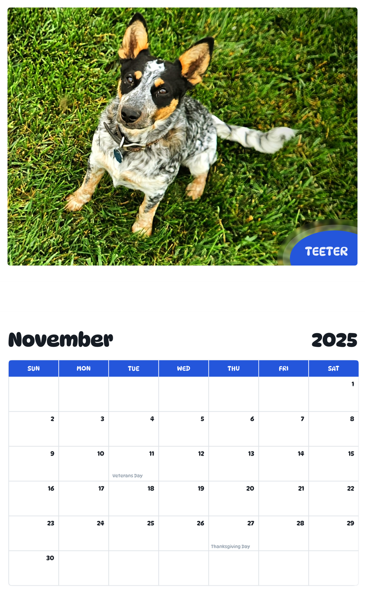 July 2025 - June 2026 Teeter - Pawidols Pet Calendar