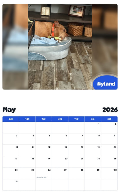 2026 - 2027 Nyland - Pawidols Pet Calendar