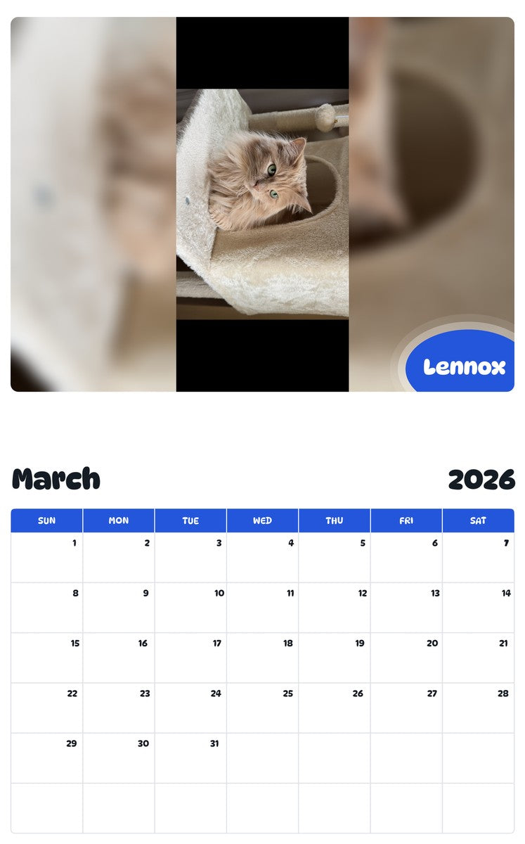 November 2025 - October 2026 Lennox - Pawidols Pet Calendar