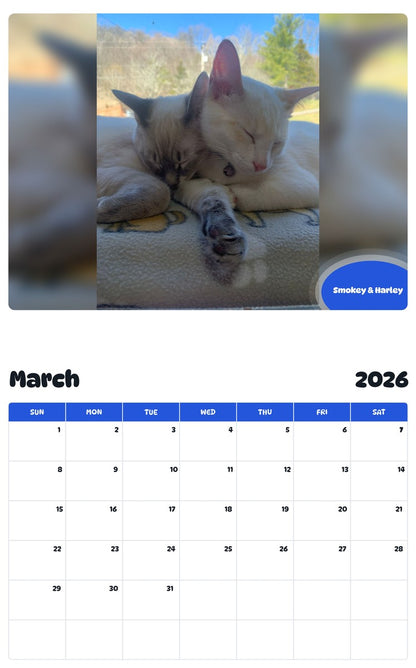 November 2025 - October 2026 Smokey & Harley - Pawidols Pet Calendar