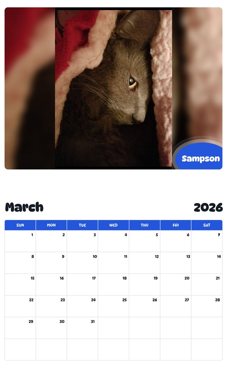 November 2025 - October 2026 Sampson - Pawidols Pet Calendar