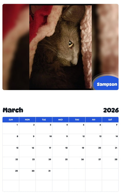 November 2025 - October 2026 Sampson - Pawidols Pet Calendar