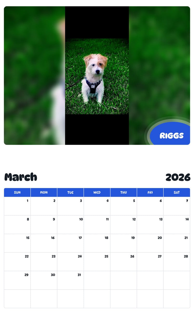 November 2025 - October 2026 RIGGS - Pawidols Pet Calendar