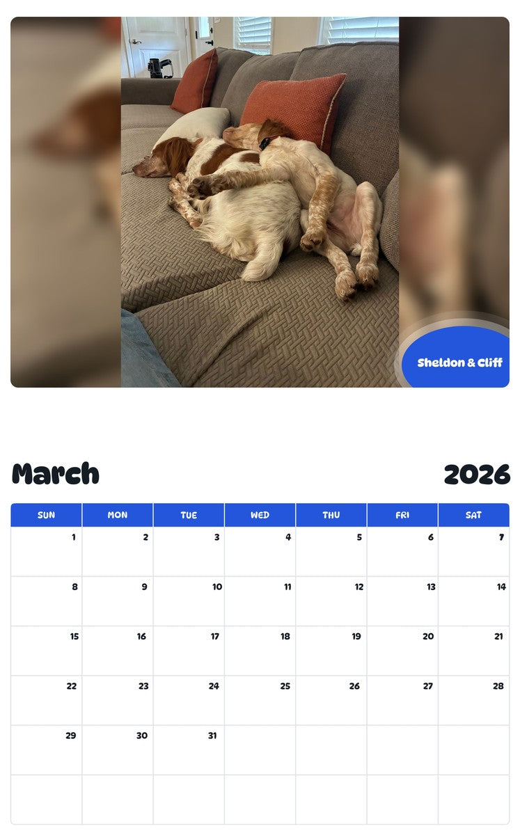November 2025 - October 2026 Sheldon & Cliff - Pawidols Pet Calendar