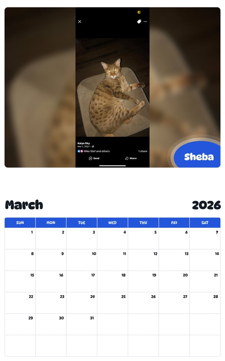 November 2025 - October 2026 Sheba - Pawidols Pet Calendar