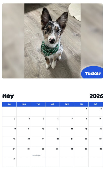 2026 - 2027 Tucker - Pawidols Pet Calendar