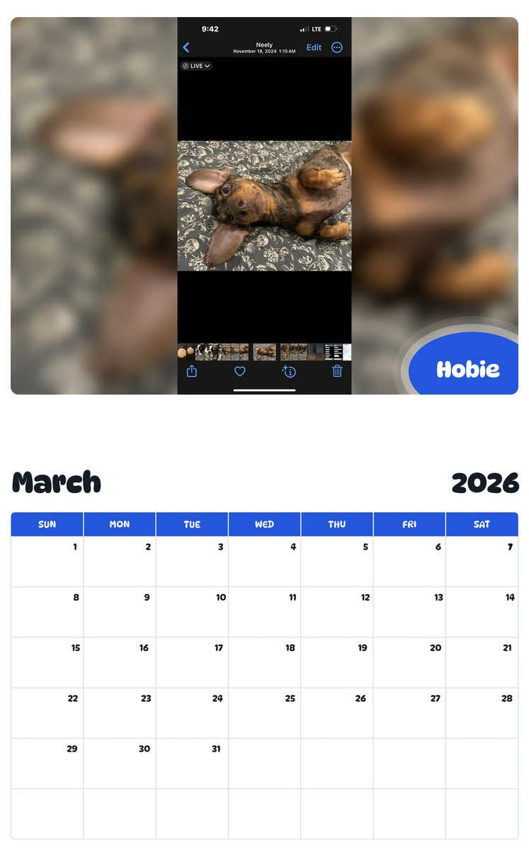 November 2025 - October 2026 Hobie - Pawidols Pet Calendar