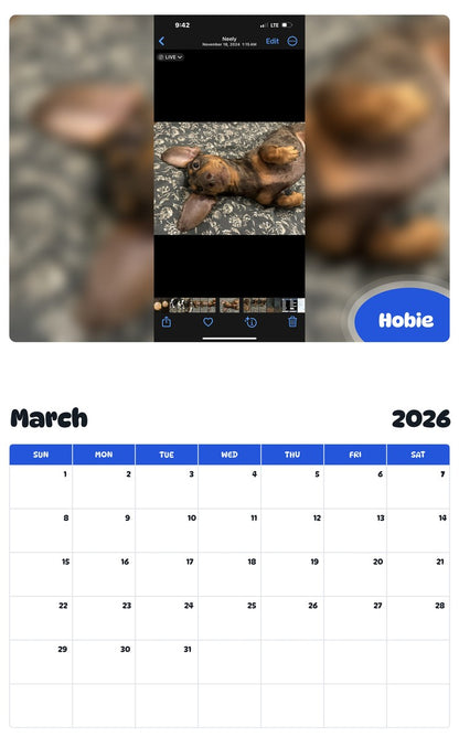 November 2025 - October 2026 Hobie - Pawidols Pet Calendar