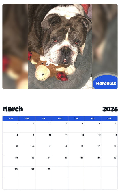 November 2025 - October 2026 Hercules - Pawidols Pet Calendar