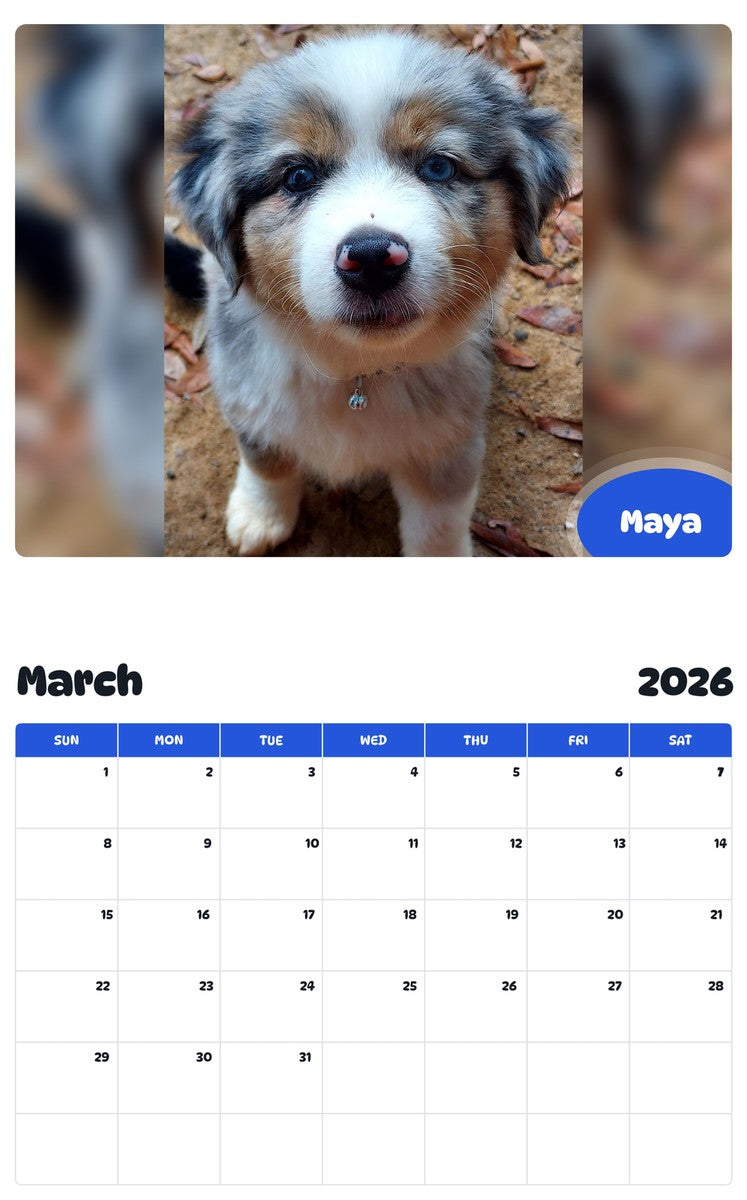 November 2025 - October 2026 Maya - Pawidols Pet Calendar