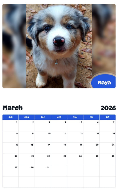 November 2025 - October 2026 Maya - Pawidols Pet Calendar