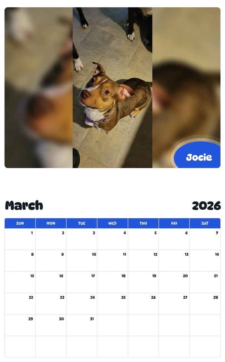 November 2025 - October 2026 Jocie - Pawidols Pet Calendar