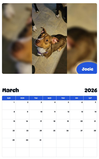 November 2025 - October 2026 Jocie - Pawidols Pet Calendar