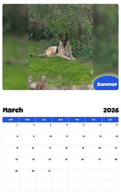 November 2025 - October 2026 Summer - Pawidols Pet Calendar