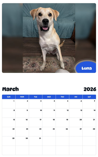 November 2025 - October 2026 Luna - Pawidols Pet Calendar