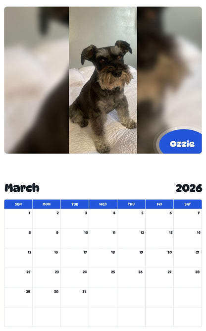 November 2025 - October 2026 Ozzie - Pawidols Pet Calendar