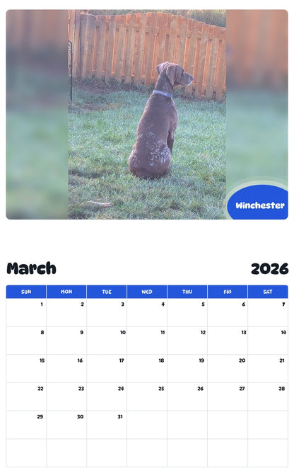 November 2025 - October 2026 Winchester - Pawidols Pet Calendar