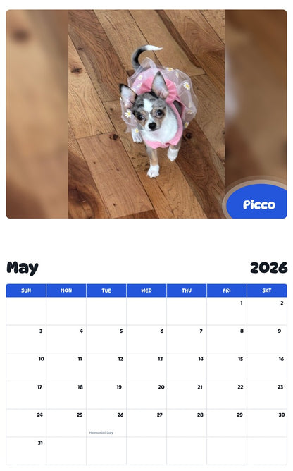 2026 - 2027 Picco - Pawidols Pet Calendar