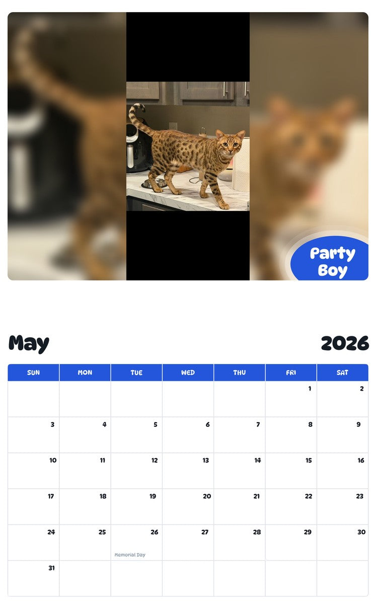 2026 - 2027 Party Boy - Pawidols Pet Calendar