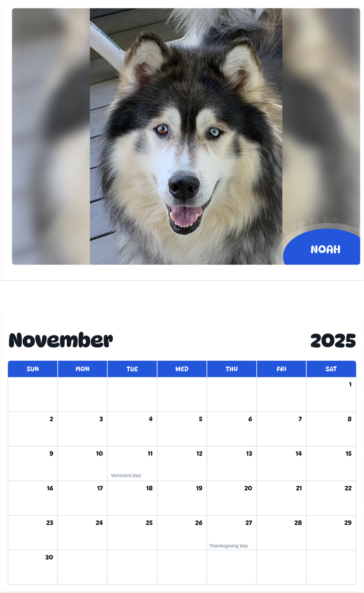 July 2025 - June 2026 Noah - Pawidols Pet Calendar