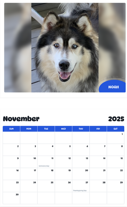 July 2025 - June 2026 Noah - Pawidols Pet Calendar